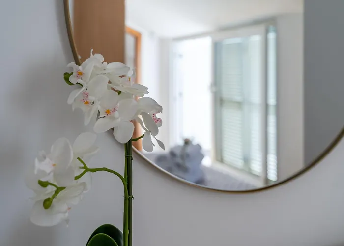 Apartman Eternity Split